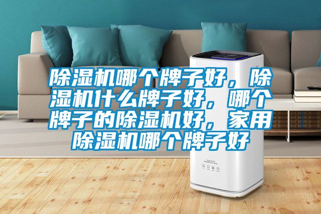 除濕機哪個牌子好，除濕機什么牌子好，哪個牌子的除濕機好，家用除濕機哪個牌子好