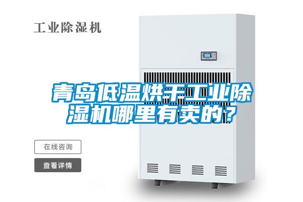 青島低溫烘干工業除濕機哪里有賣的？