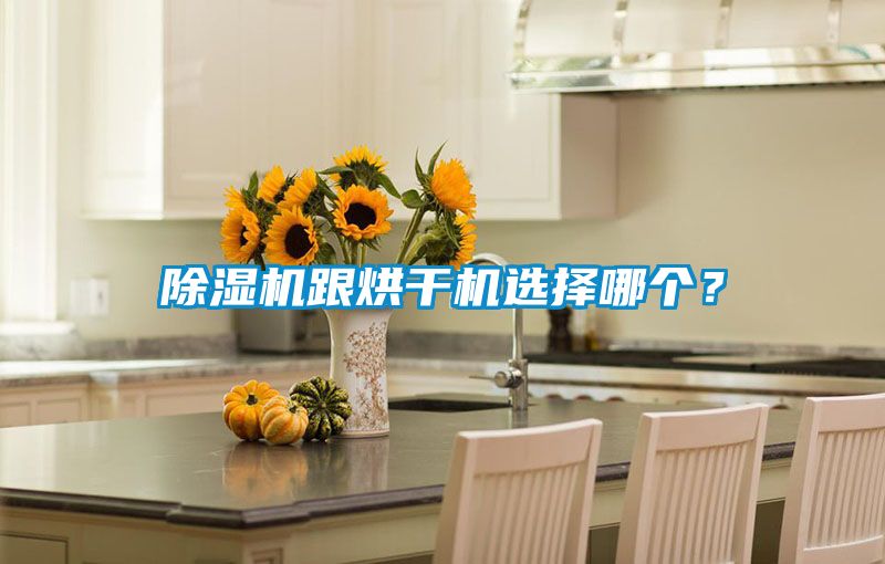 除濕機跟烘干機選擇哪個？