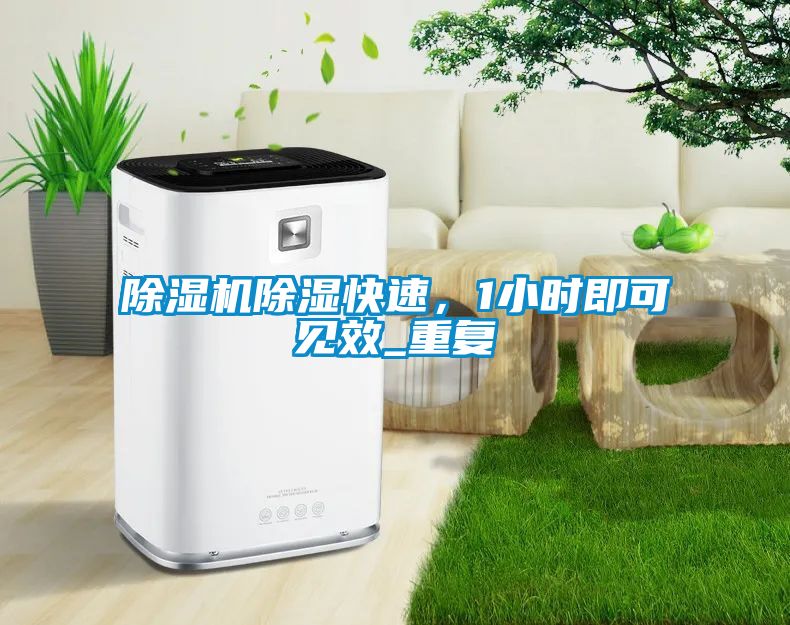 除濕機除濕快速，1小時即可見效_重復