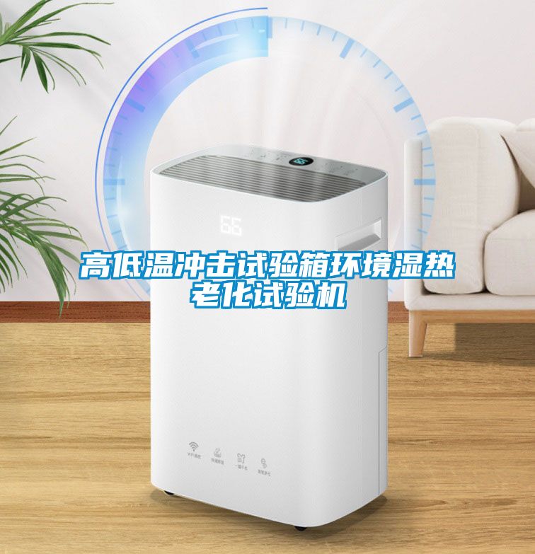 高低溫沖擊試驗箱環境濕熱老化試驗機