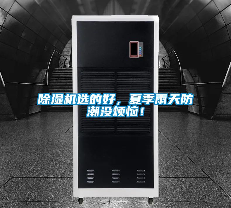 除濕機選的好，夏季雨天防潮沒煩惱！