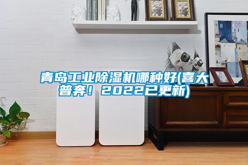 青島工業除濕機哪種好(喜大普奔！2022已更新)