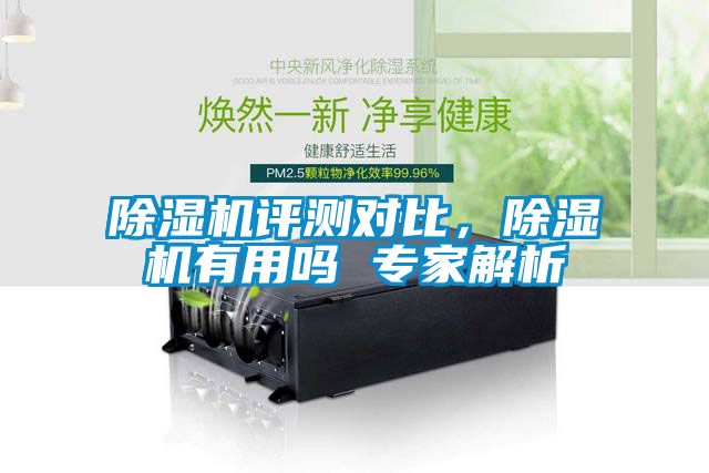 除濕機評測對比，除濕機有用嗎 專家解析