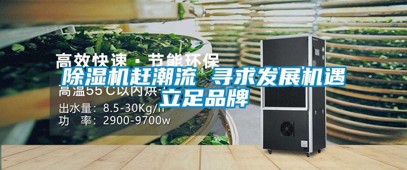 除濕機趕潮流 尋求發展機遇立足品牌