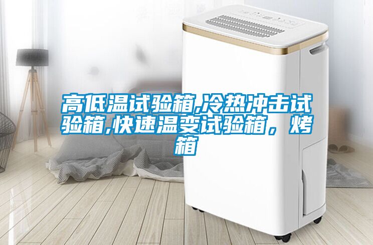 高低溫試驗箱,冷熱沖擊試驗箱,快速溫變試驗箱，烤箱