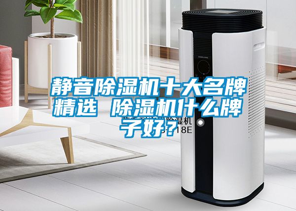 靜音除濕機十大名牌精選 除濕機什么牌子好？