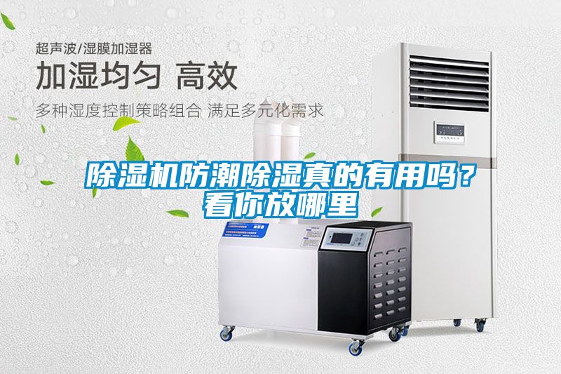 除濕機防潮除濕真的有用嗎？看你放哪里