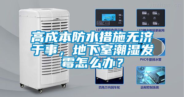 高成本防水措施無濟于事，地下室潮濕發霉怎么辦？