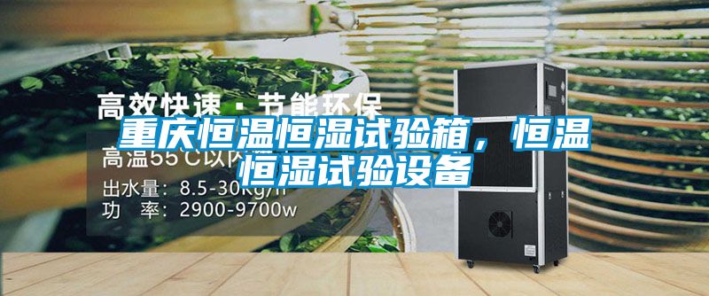 重慶恒溫恒濕試驗箱，恒溫恒濕試驗設備