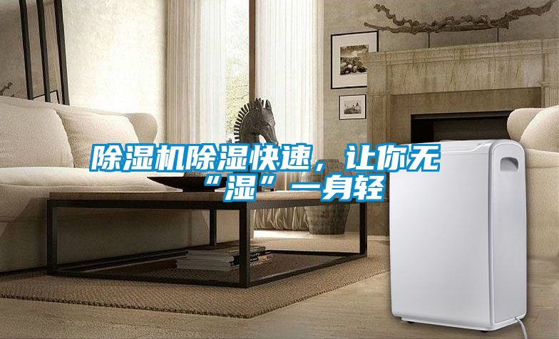 除濕機除濕快速，讓你無“濕”一身輕