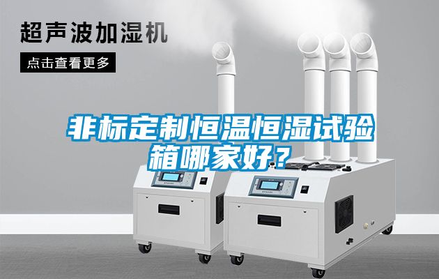 非標定制恒溫恒濕試驗箱哪家好？