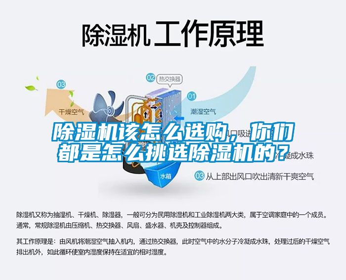 除濕機該怎么選購，你們都是怎么挑選除濕機的？