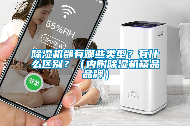 除濕機都有哪些類型？有什么區別？（內附除濕機精品品牌）