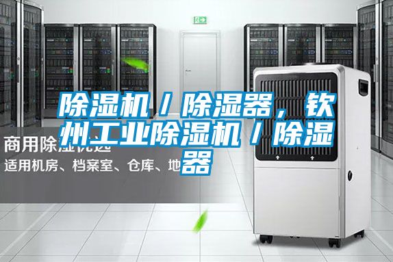 除濕機／除濕器，欽州工業除濕機／除濕器