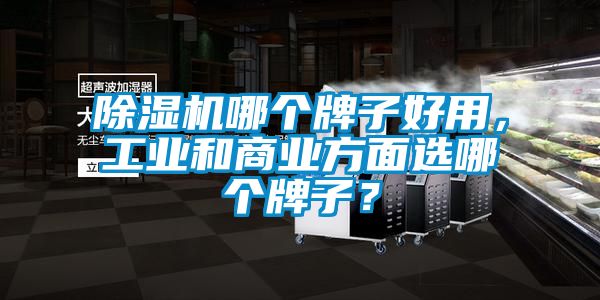 除濕機哪個牌子好用，工業和商業方面選哪個牌子？