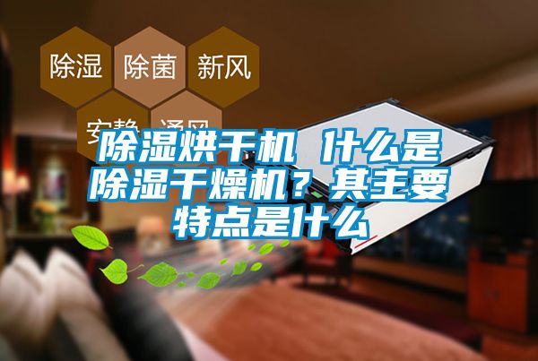 除濕烘干機 什么是除濕干燥機？其主要特點是什么