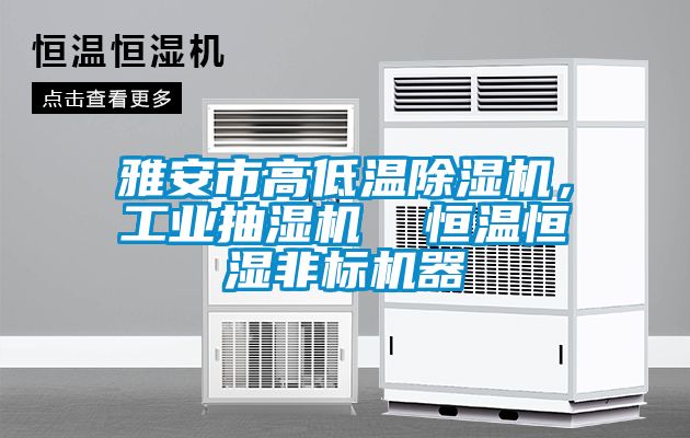 雅安市高低溫除濕機，工業抽濕機  恒溫恒濕非標機器
