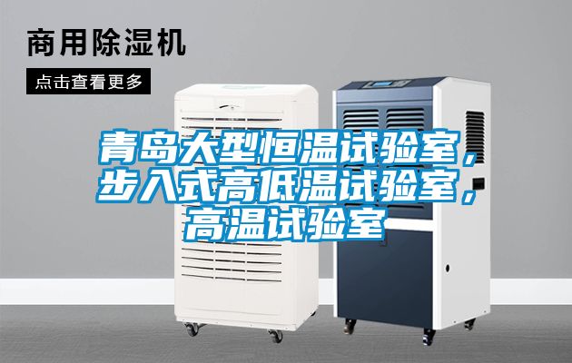 青島大型恒溫試驗室，步入式高低溫試驗室，高溫試驗室