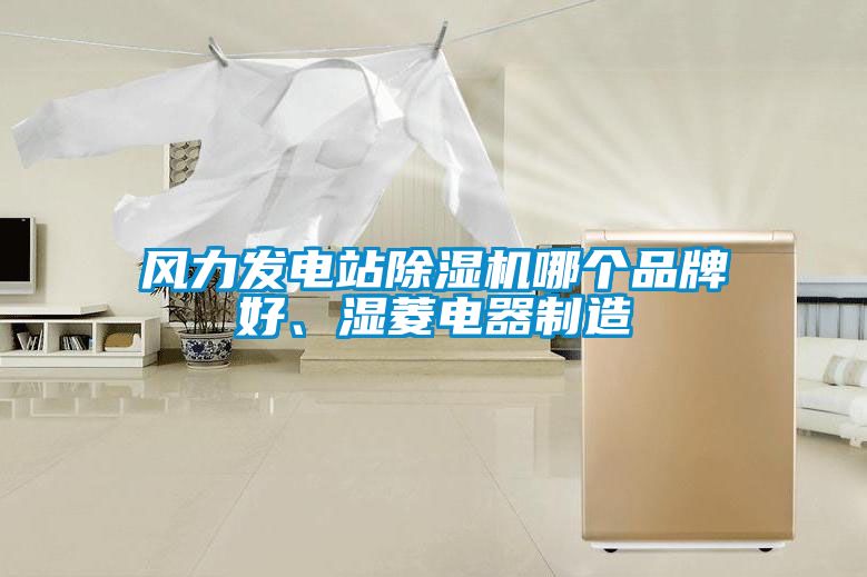 風力發電站除濕機哪個品牌好、濕菱電器制造
