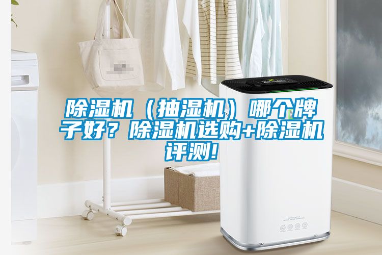 除濕機（抽濕機）哪個牌子好？除濕機選購+除濕機評測!