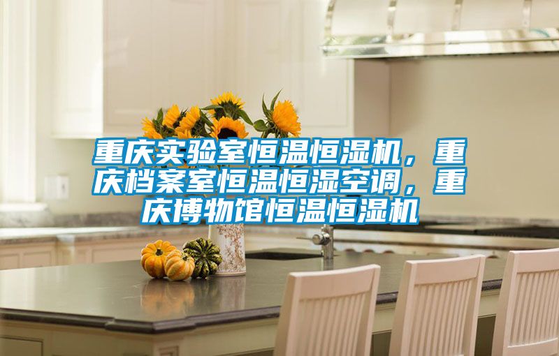 重慶實驗室恒溫恒濕機，重慶檔案室恒溫恒濕空調，重慶博物館恒溫恒濕機