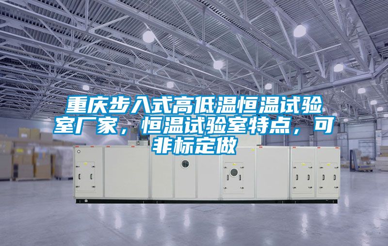 重慶步入式高低溫恒溫試驗室廠家，恒溫試驗室特點，可非標定做