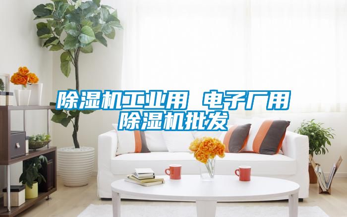 除濕機工業用 電子廠用除濕機批發