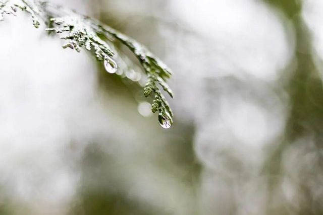空氣濕度大帶來的危害有哪些，你知道嗎？