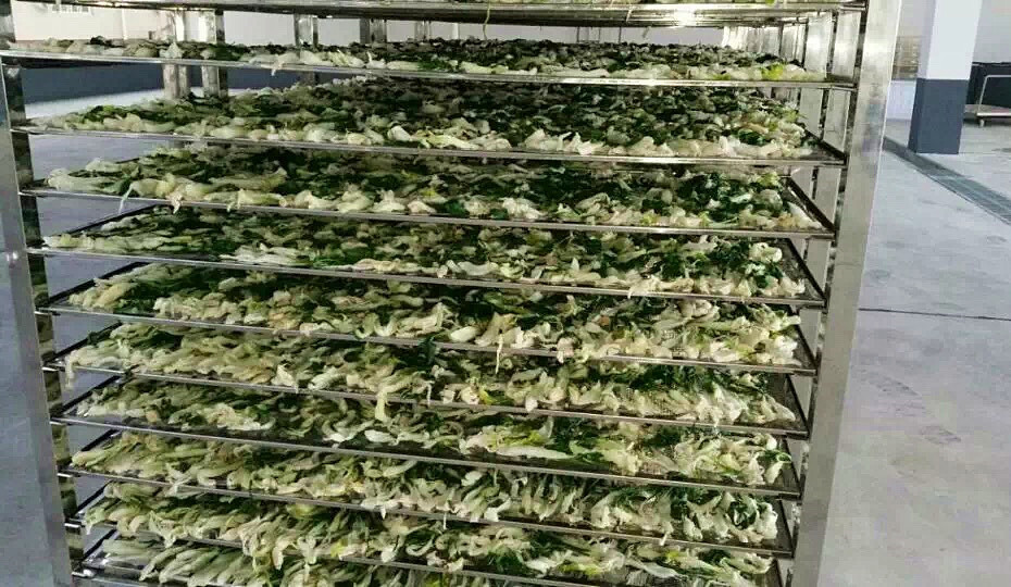 菜干需求一直都很大，蔬菜烘干機很有市場