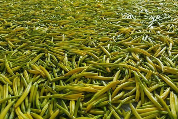 無硫金針菜烘干如何保持品相？不發黑？